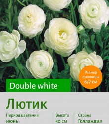  Лютик (Ranunculus) Double white